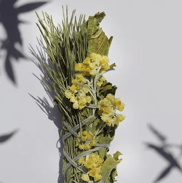 Bouquet de Fumigation de l'Ours - Totem Nature