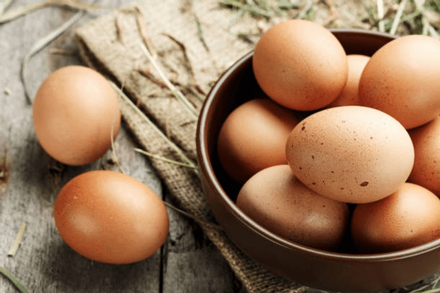 Oeuf de Poule Bio